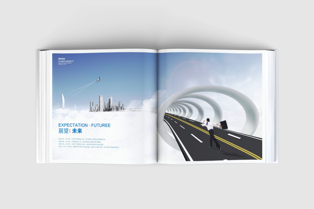 惠济区画册设计